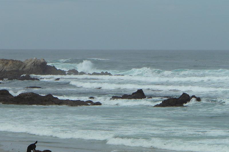 Carmel 10-30-08 244.jpg